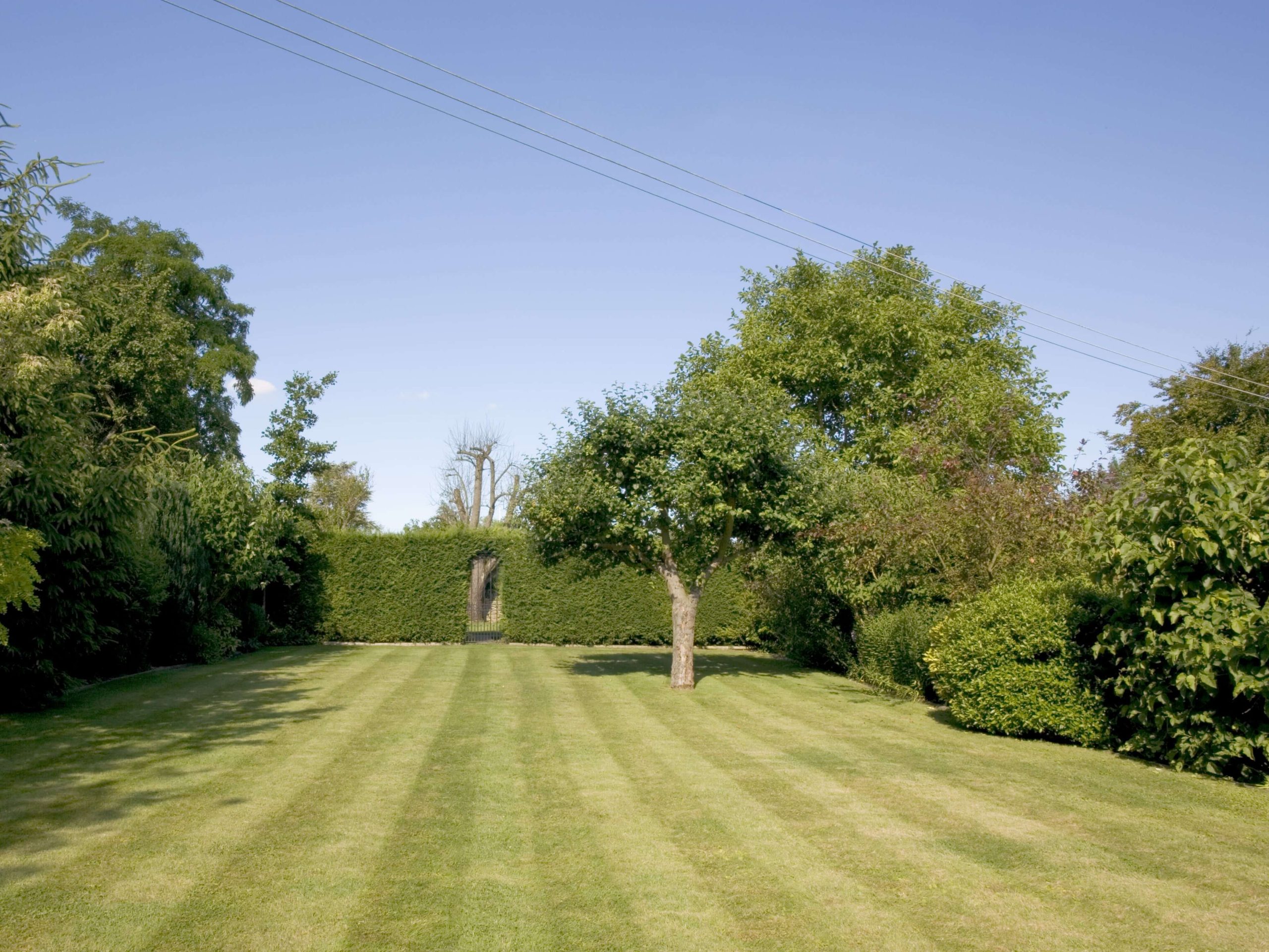 Lawn Mowing/Hedge Trimming Lewisham SE13