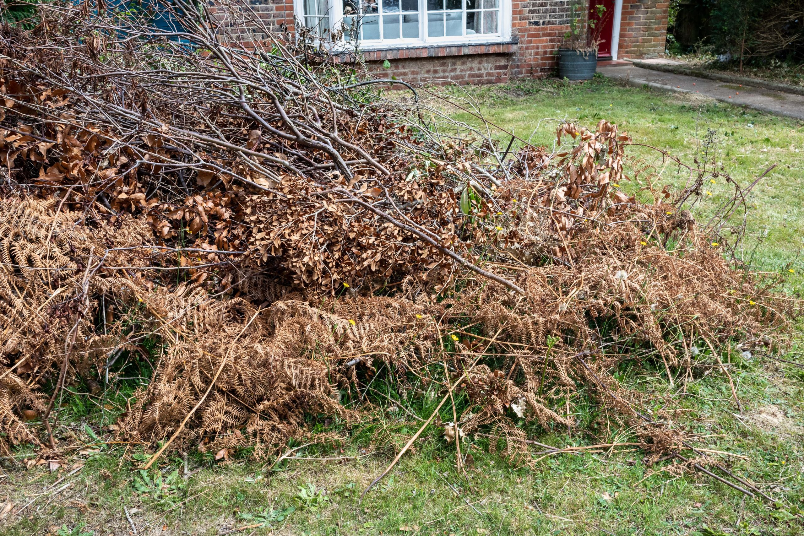 Garden Clearance Lewisham SE13