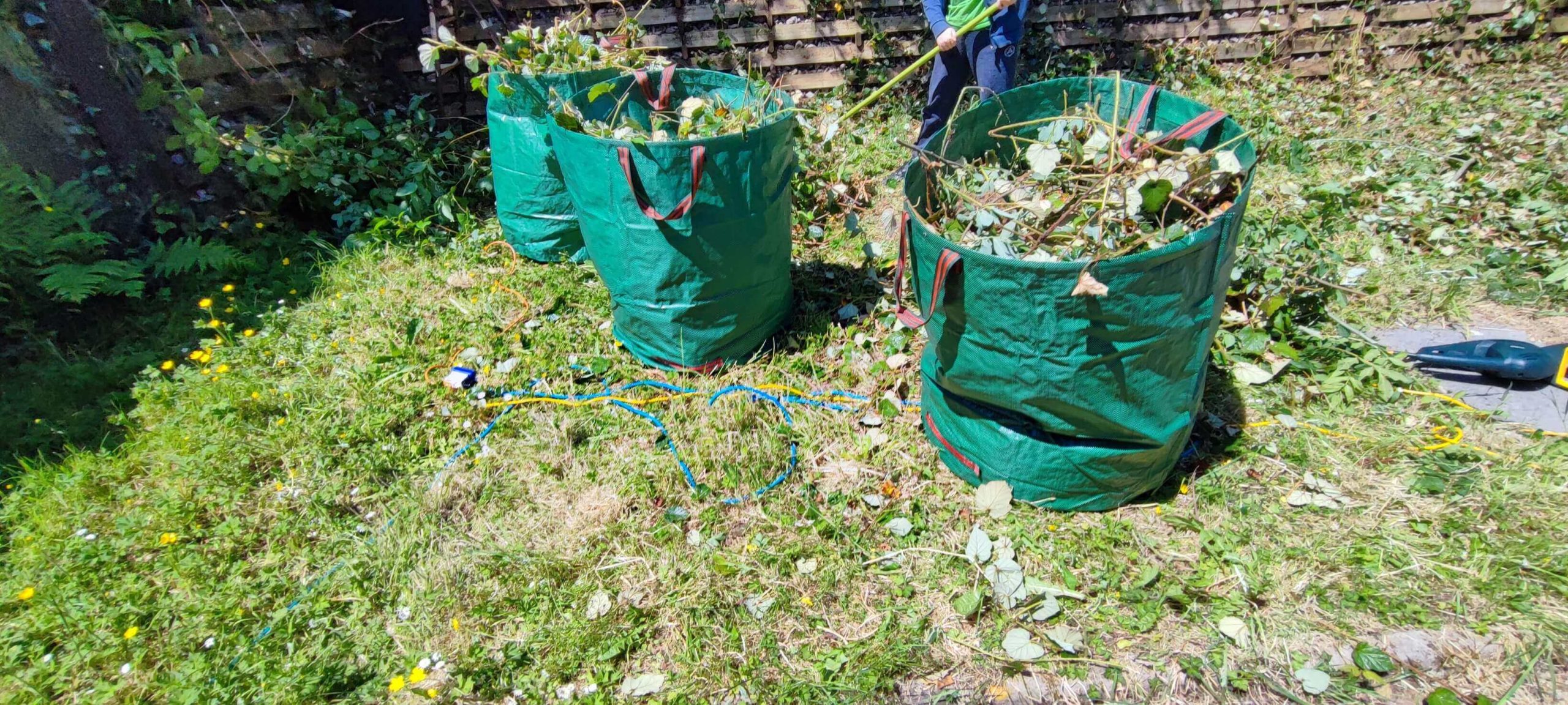 Green Waste Removals Lewisham SE13