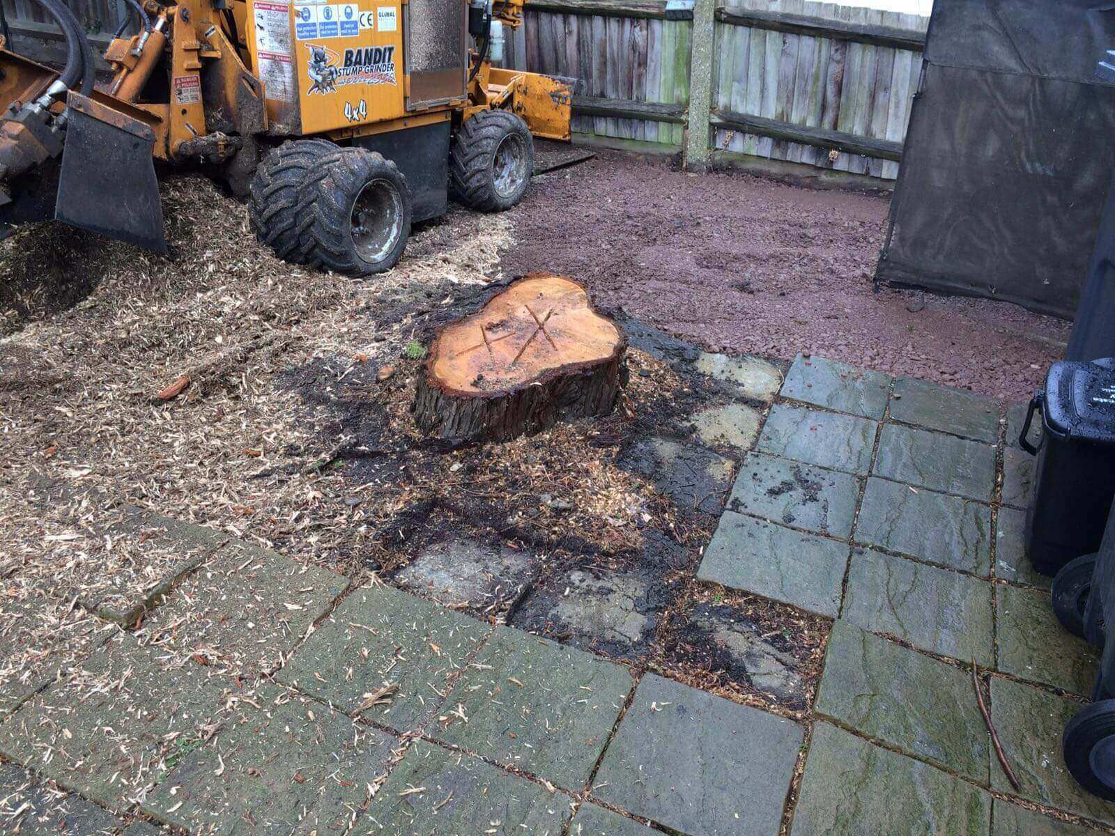 Tree Surgeons Lewisham SE13