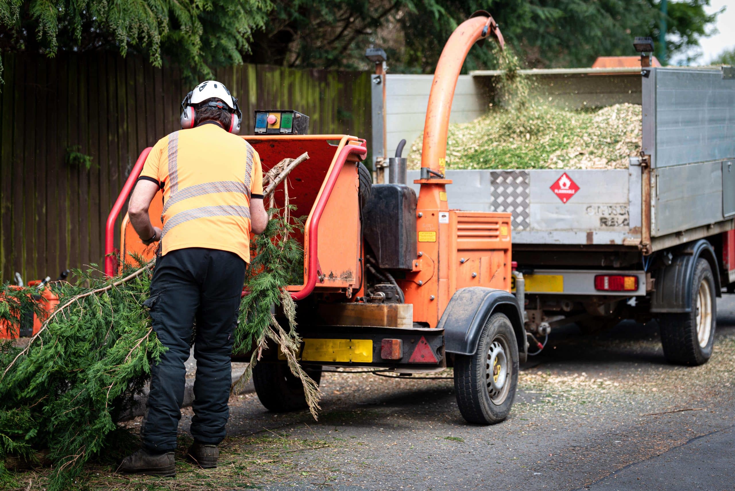 Tree Stump Grinding/Removal Lewisham SE13